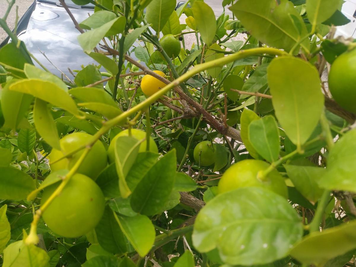 Apartmani Trubi 3 Vodice Buitenkant foto