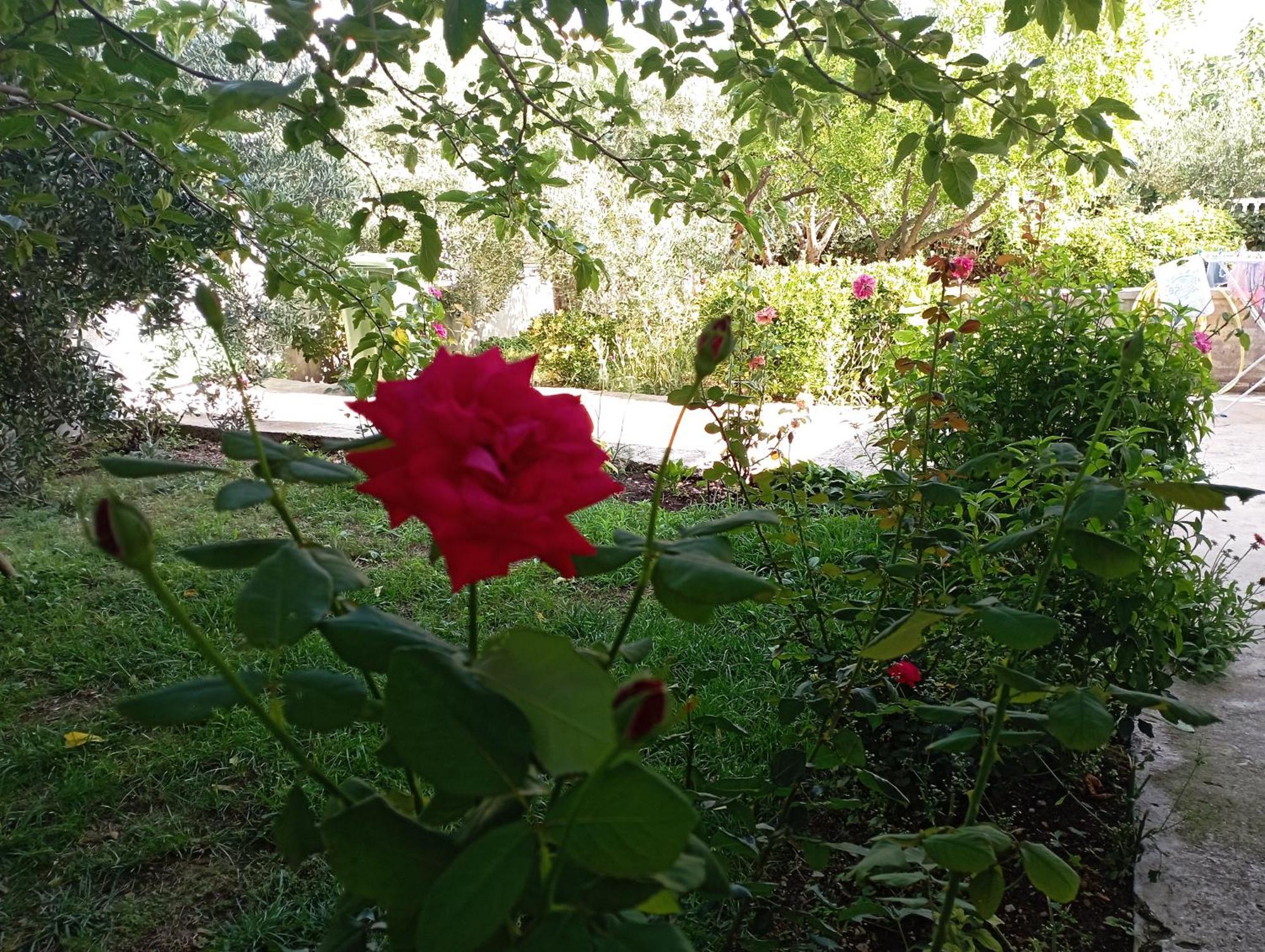 Apartmani Trubi 3 Vodice Buitenkant foto